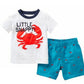 Boys' Summer Clothing Set for Kids Casual Wear - LittleLullabyLoft