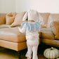 Circus Bunny Halloween Costume