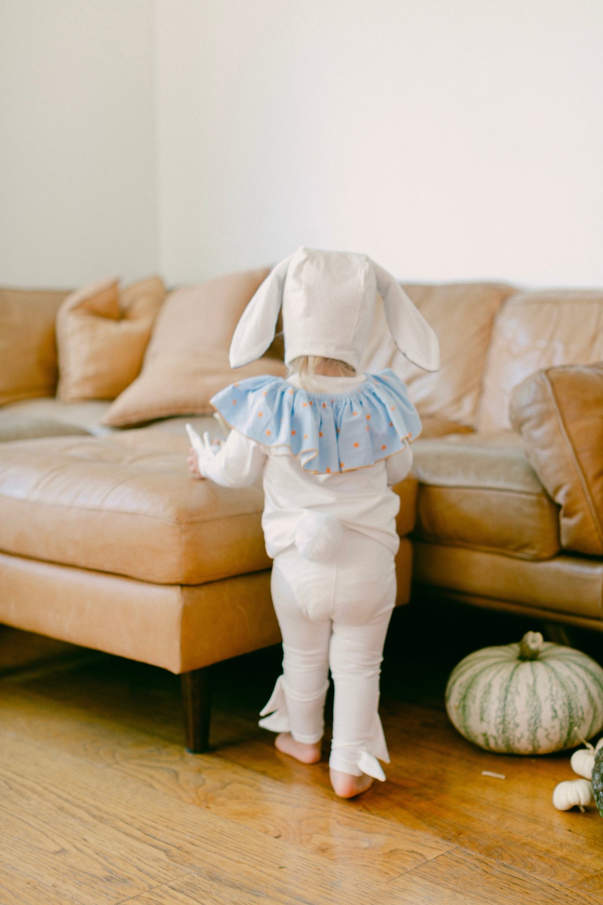 Circus Bunny Halloween Costume