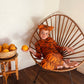 Baby Tiger Halloween Costume