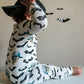 Spooky Bro Bamboo Zippy Pajamas