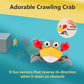Baby Toys Infant Crawling Crab - LittleLullabyLoft